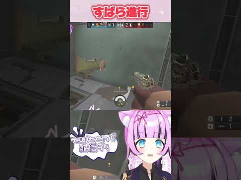 すばら進行#vtuber #rainbowsixsiege #シージX #ゲーム実況 #siegex