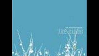 The Shins "Girl Inform Me"