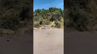 Pendakian Merbabu Via Selo Gancik