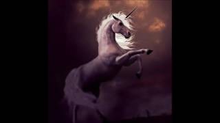 Joey K - Sarah Tonin