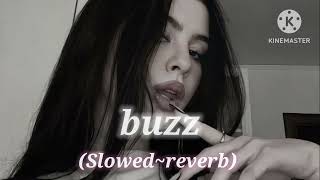 Buzz // Full (Slowed ~reverb ) | Song Bollywood.... & [ Lofi music remix |