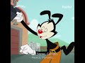 Animaniacs That Song About Countries Hulu Animaniacs That Song About Countries Hulu