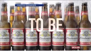 Craft beer revolution in US