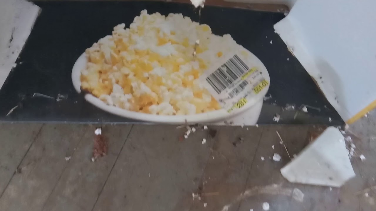 Abandoned Ranger station