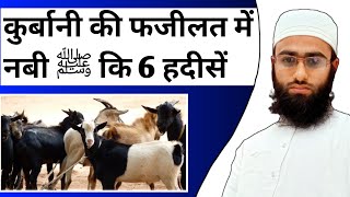 qurbani ki Fazilat | qurbani ki ahmiyat | qurbani ka sawab | qurbani ke fayde | qurbani ka janwar