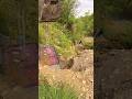 treasure hunt find mysterious big box | #gold #treasure #shorts