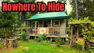 Nowhere to Hide at the Off Grid cabin