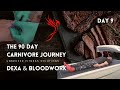 Carnivore Day 9: DEXA SCAN AND BLOODWORK
