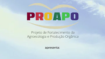 Como criar uma Organização de Controle Social?