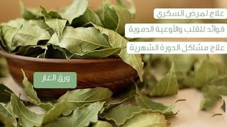 فوائد ورق الغار