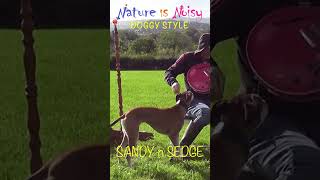 Nature Is Noisy - Doggy Style