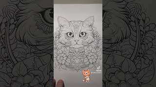 Adult coloring book. Cat breeds. Today’s breed: Scottish fold. #Cats #AdultColoringBooks.