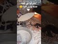 الخبيز الفلاحي في الريف العيش الدره الخبيز الريفي 