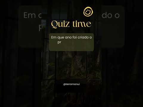 Teste de Terrários #quiztime #plantas