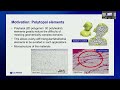 MFEM Workshop 2024 | Arbitrary Order VEMs for High-Order Phase-Field Modeling of Dynamic Fracture