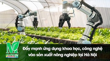 Đẩy mạnh ứng dụng khoa học, công nghệ vào sản xuất nông nghiệp tại Hà Nội