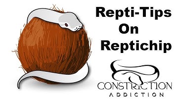 Repti-tips on Reptichip.