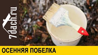 👩‍🌾 Осенняя Побелка Деревьев: Как, Чем И Для Чего Это Делать - 7 Дач