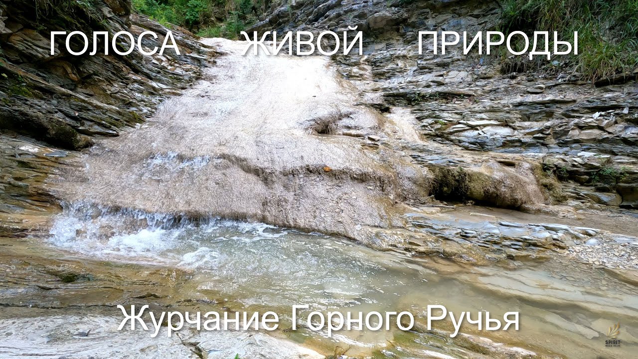 Звук ручья для сна. Звук ручейка слушать. Журчание воды слушать для ребенка