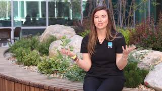 New Lutheran Hospital: Project success through partnerships and collaboration