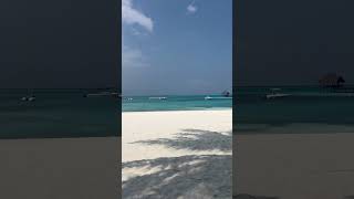 #maldives