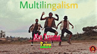 Afro Trauma Zaïre (1971__1997) Video Dance Cover MULTILIGALISM by TnB_tresor
