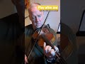 Jazz Licks for Violin #shorts