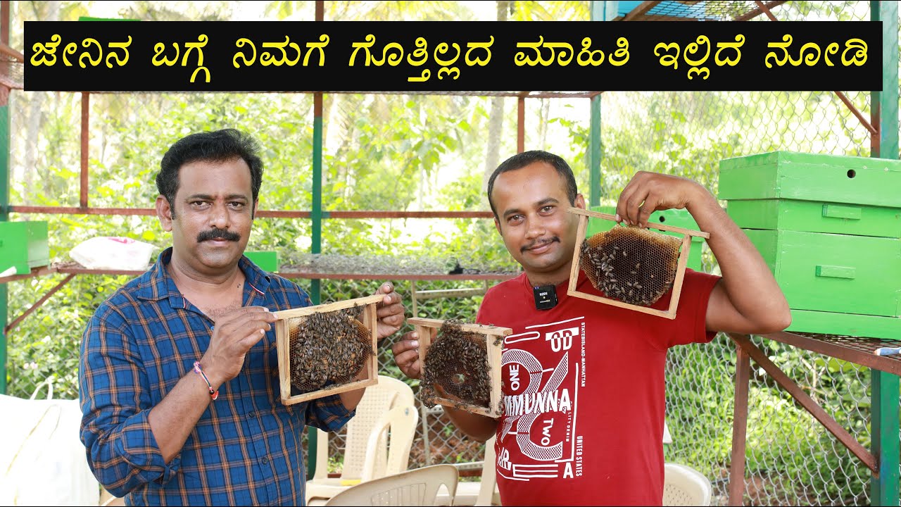 ಜೇನಿನ ಬಗ್ಗೆ ನಿಮಗೆಷ್ಟು ಗೊತ್ತು ? ಇಲ್ಲಿದೆ ಪೂರ್ಣ ಮಾಹಿತಿ I ಸಿಹಿಯಾದ ಜೇನುತುಪ್ಪ I  Details About Honey Bee