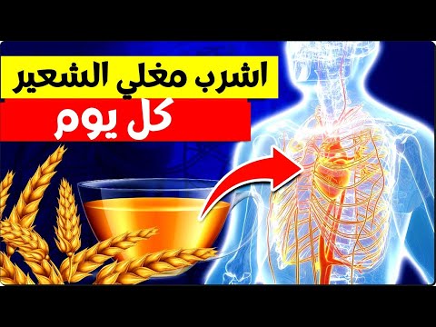 فوائد الشعير اشرب مغلي الشعير يوميا إذا كنت تعاني من إحدى هذه المشاكل الصحية