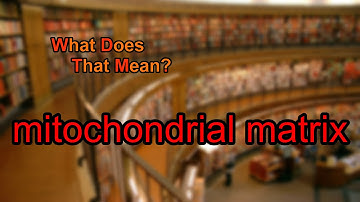 What does mitochondrial matrix mean?