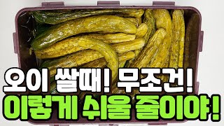 왜 이제 알았지? 쉽고 아삭 오이장아찌 담그는법