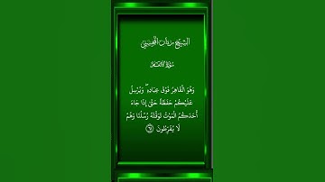 الشيخ ريان المحيسني     سورة الأنعام         #المصحف #القرآن_الكريم #تلاوة_خاشعة
