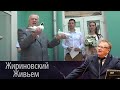 В. Жириновский поздравил молодоженов в День любви, семьи и верности!