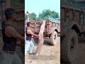 木に寄りかかる車体：非常時に学ぶ自然のジャッキ