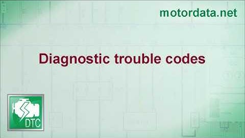 MotorData Professional - Diagnostic trouble codes