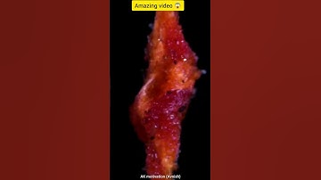 💥 Amazing video of objects in Macro 🔥 #shorts #youtubeshorts #shortsvideo #viral #trending