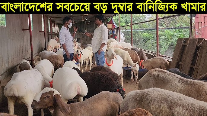 Oriq tanli ayol bilan jinsiy aloqa