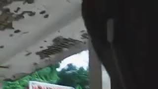 Download Lagu Tak setia Iwan Madu MP3