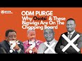 ODM Purge Why Osotsi These Bigwigs Are On The Chopping Board