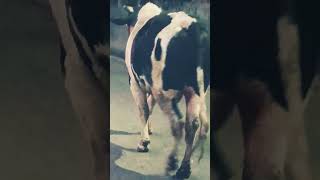 on natural law's heart informs thenimd