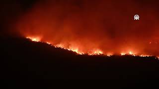 Podgorica - Montenegro seeks international help to combat forest fires