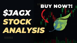 Jaguar Health Inc (JAGX) Stock Analysis: Buy OR Sell Here's What You Need to Know About $JAGX