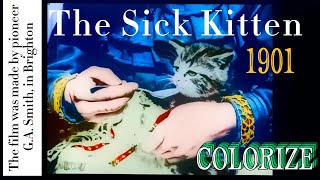 The Sick Kitten (1901) | #Colorization #Colorize