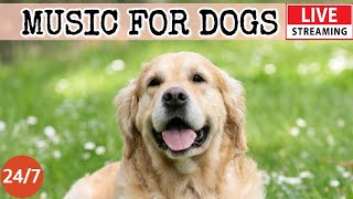 [LIVE] Dog MusicRelaxing Sleep Music for DogsSeparation anxiety relief musicDog Calming Music23