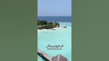 تلاوة مميزة - القارئ الشيخ عكاشة كميني - سورة العاديات