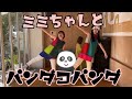ミミちゃんとパンダコパンダ