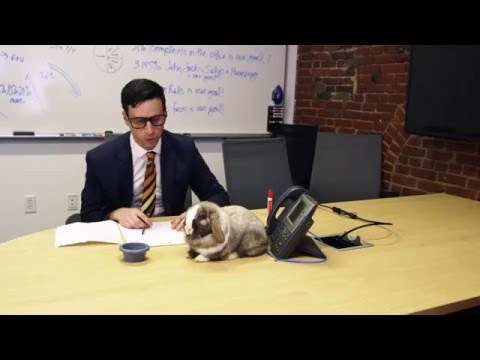 HubSpot's #PETprogram | Meetings - HubSpot's #PETprogram | Meetings