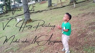 Sananglah Luko-Harry parintang ( cover video clip Neo apryanva)