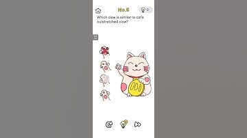 Brain Out, Chapter/ Level No.5/ Which claw is similar to cat