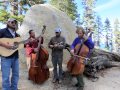 Sweetwater String Band - 'Steam Engine'